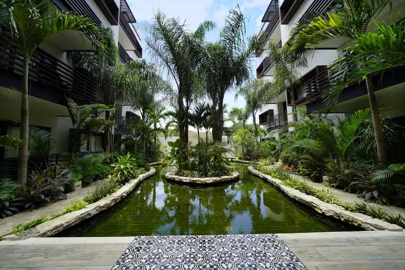Arenis · 204, Av. 25, Playa del Carmen, Q. Roo